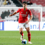tomas-araujo-1-new