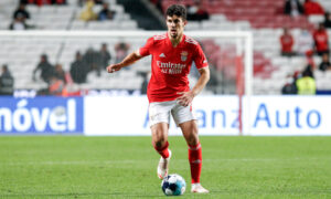 tomas-araujo-1-new